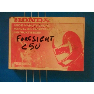 HONDA FORESIGHT 250